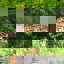 Foliage And Grass Samples