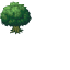Leftover Tree