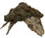 Mudcrab
