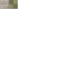 Wall 2
